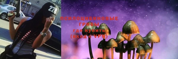 стафф Зеленодольск