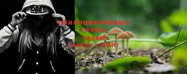 стафф Зеленодольск