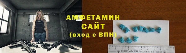 ГАЛЛЮЦИНОГЕННЫЕ ГРИБЫ Инта