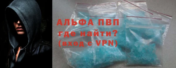 ГАЛЛЮЦИНОГЕННЫЕ ГРИБЫ Инта