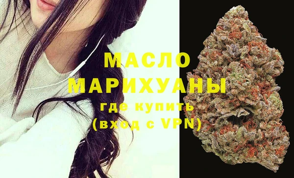 гидра Заводоуковск