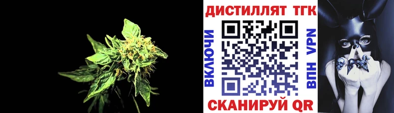 где продают   МЕГА ТОР  ТГК концентрат  Ковдор 