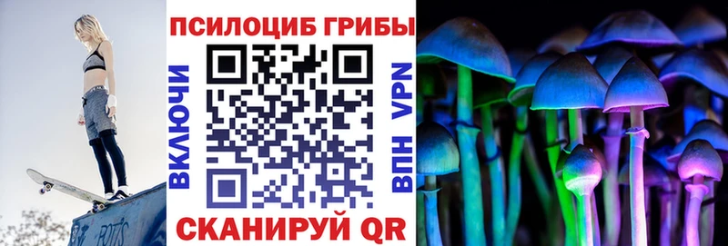 darknet формула  Ковдор  Псилоцибиновые грибы MAGIC MUSHROOMS 